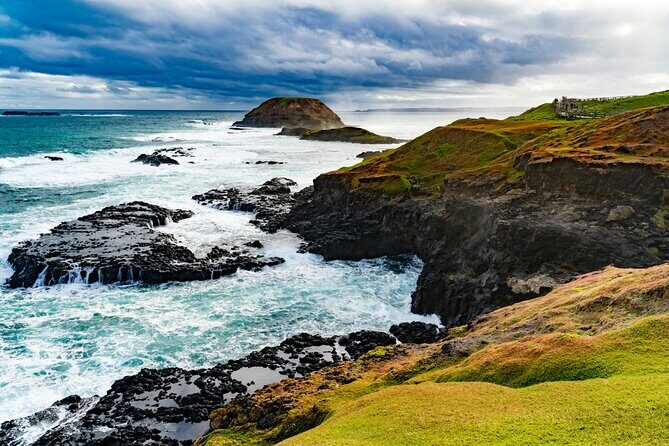 Phillip Island Private Tour: Penguin Parade & Wildlife Day - A Deep Dive into the Phillip Island Private Tour Experience