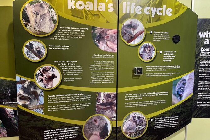 Phillip Island Private Tour: Penguin Parade & Wildlife Day - FAQ