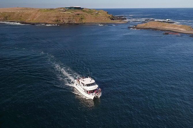 Phillip Island Seal-Watching Cruise - Frequently Asked Questions