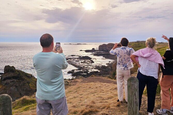Phillip Island Wildlife Cruise and Penguin Tour from Melbourne - Summary of Key Points