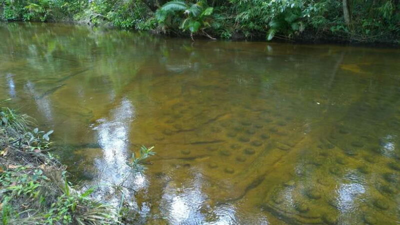 Phnom Kulen National Park Admission Ticket - FAQs