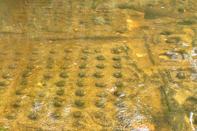 Phnom Kulen Waterfall and Banteay Srei Temple Tour from Siem Reap - The Sum Up