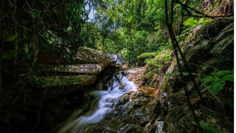 Phnom Penh: 4-Day Trekking&Camping Adventure at Phnom Tompor - Phnom Penh: 4-Day Trekking & Camping Adventure at Phnom Tumpor