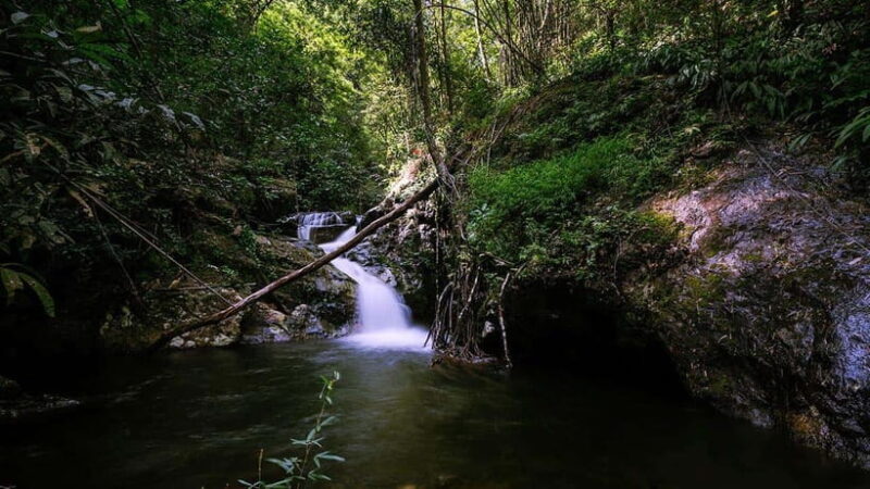Phnom Penh: 4-Day Trekking&Camping Adventure at Phnom Tompor - An In-Depth Look at the 4-Day Trekking Experience