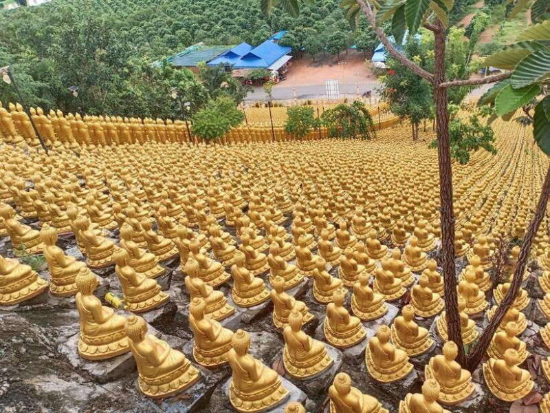 Phnom Penh: Buddha Kiri and Phnom Tamao Zoo Private Day Trip - Key Points