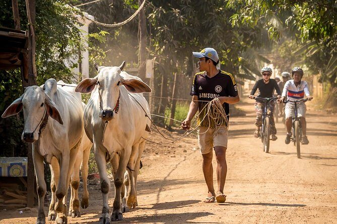 Phnom Penh: Cycling Adventure on Islands of the Mekong - An In-Depth Look at the Cycling Tour