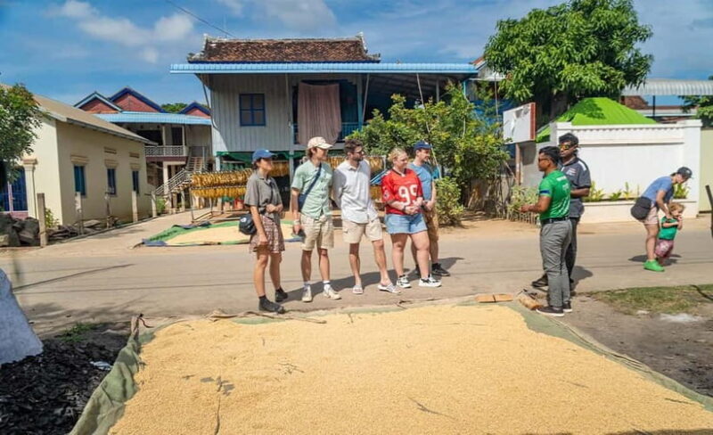 Phnom Penh Haft Day Tour to Silk Island by Tuk Tuk - What the Tour Does Well