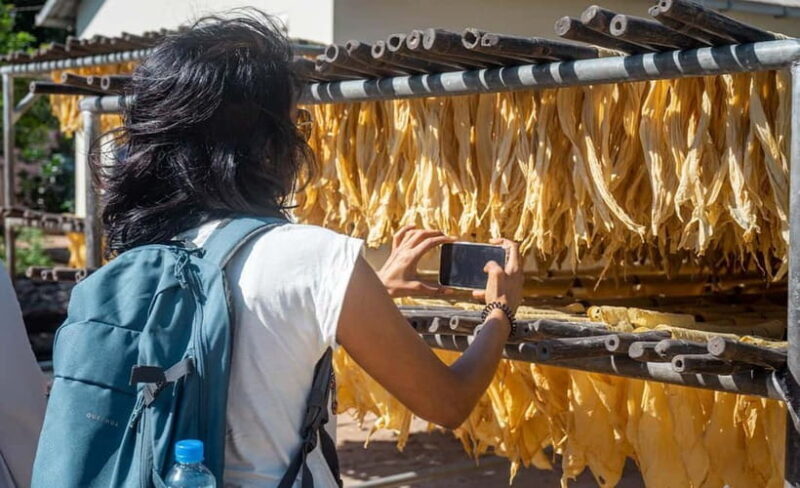 Phnom Penh Haft Day Tour to Silk Island by Tuk Tuk - Is This Tour Right for You?