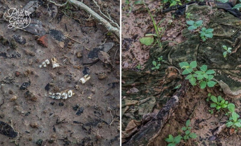 Phnom Penh: Killing Fields and S-21 Museum Tour - FAQs