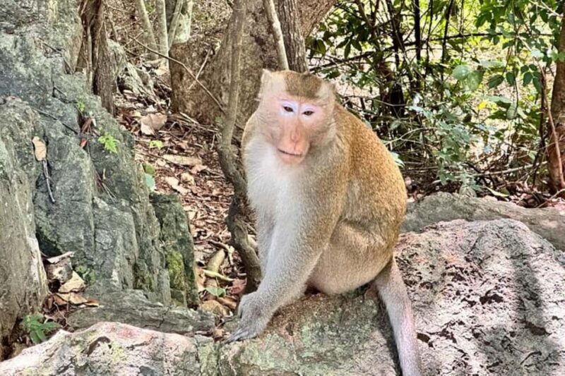 Phnom Penh: Oudong Mountain and Temples Guided Day Trip - FAQ