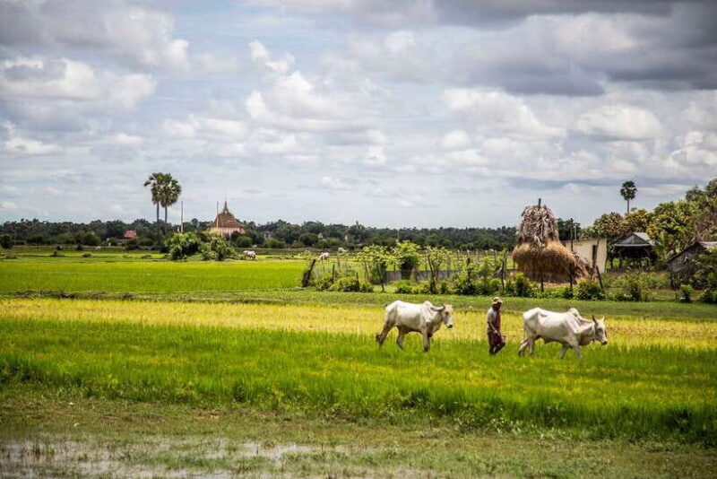 Phnom Penh: Phnom Oudong & Koh Chen Village - Lunch include - The Sum Up: Is This Tour Right for You?