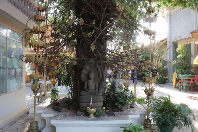 Phnom Penh Private Tour English Local Guide - Who Should Consider This Tour?