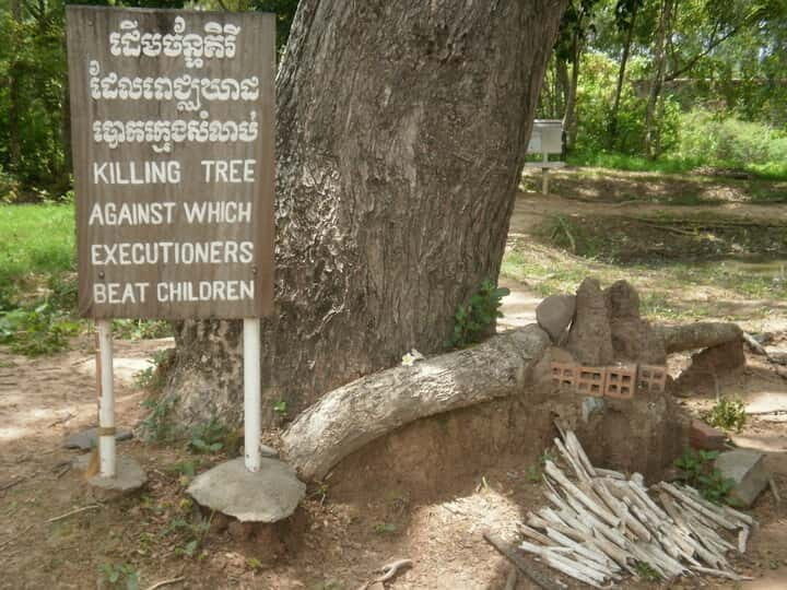 Phnom Penh's Killing Fields: 4-Hour Guided Tour - A Deep Dive into the Experience