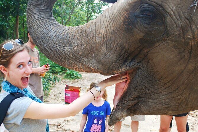 Phnom Tamoa Wildlife Rescue Center, Buddha Kiri Cambodia Day Tour - Why This Tour Is a Great Choice