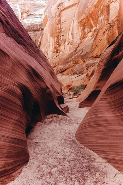 Phoenix: Grand & Antelope Canyon 2-Day Tour & Flight Option - FAQ