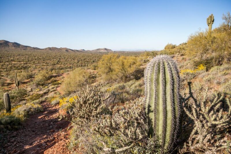 Phoenix/Scottsdale: Apache Trail Tour & Canyon Lake Cruise - What Makes This Tour Stand Out?