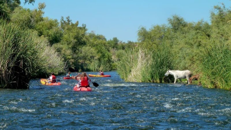 Phoenix: Self-Guided Kayaking Trip to Foxtail - Exploring the Salt River: An Authentic Arizona Experience