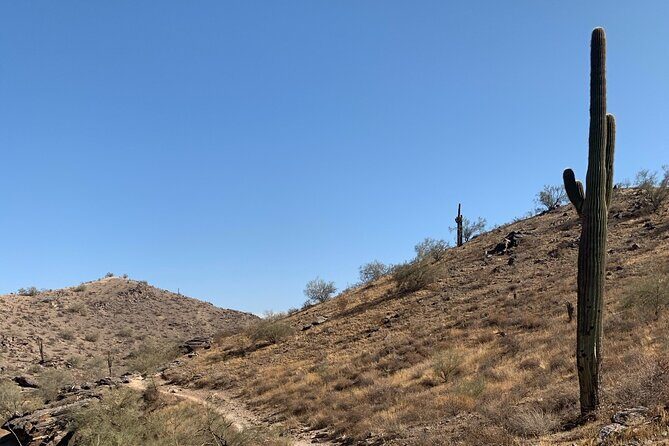 Phoenix South Mountain Hiking Tour Experience - Discover the Beauty of South Mountain with a Guided Hiking Tour
