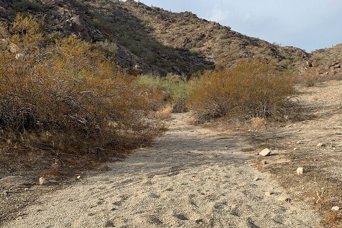 Phoenix South Mountain Hiking Tour Experience - Key Points