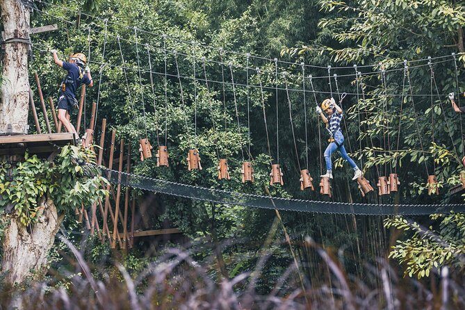 Phoenix Zipline Adventure Park  Chiang Mai Thrills - The Experience in Detail