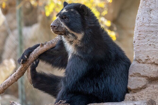 Phoenix Zoo Admission Ticket - Practical Considerations