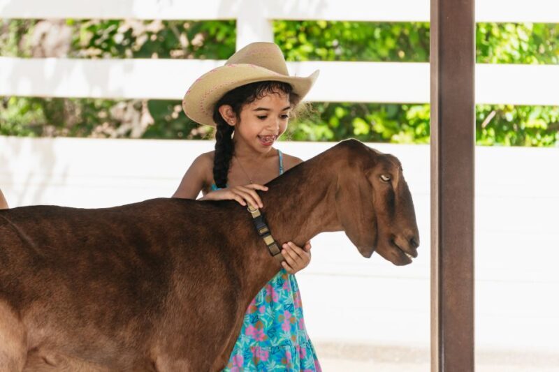 Phoenix Zoo One Day General Admission Ticket - FAQs