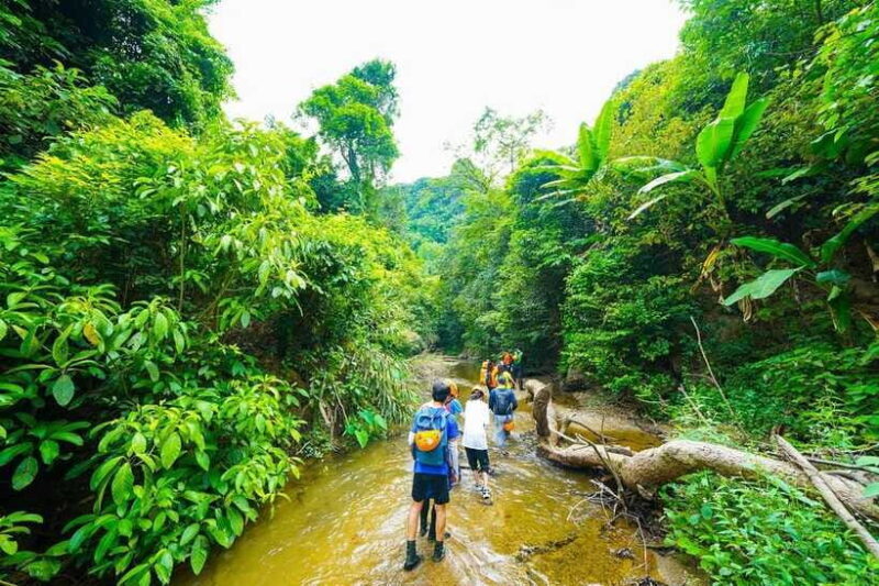 Phong Nha: ELEPHANT CAVE & MA DA VALLEY JUNGLE TREK 1D - FAQ: Practical Questions About the Elephant Cave & Ma Da Valley Jungle Trek