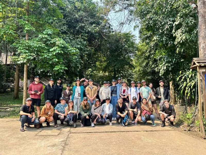 Phong Nha National Park: Paradise Cave Half-Day Tour - An In-Depth Look at the Paradise Cave Half-Day Tour