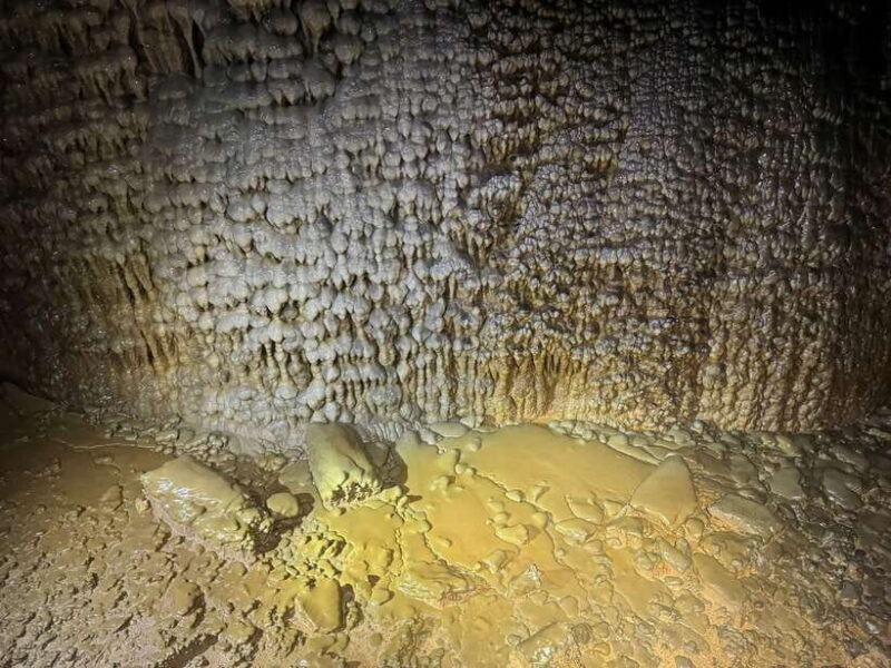 Phong Nha: Paradise Cave 4km Adventure - Key Points