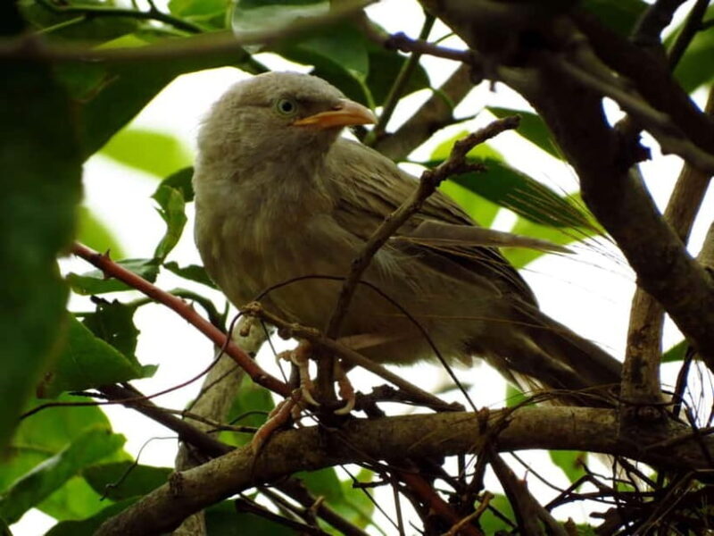 Phong Nha - Paradise Cave & Dark Cave or Duck Farm in needed - Practical Considerations