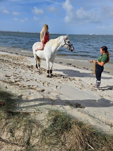 Photo Session With Horses on The Beach or in The Countryside - The Itinerary: What to Expect