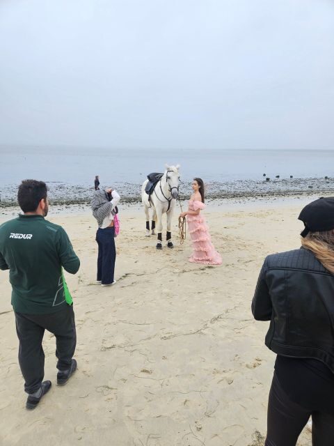Photo Session With Horses on The Beach or in The Countryside - Pricing and Value