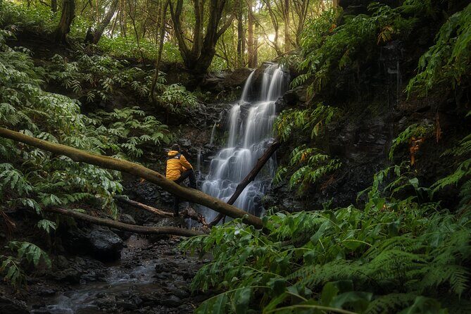 PHOTO TOUR (Full Day Private Tour- Sunrise to sunset) - A Day of Photography and Nature on Terceira