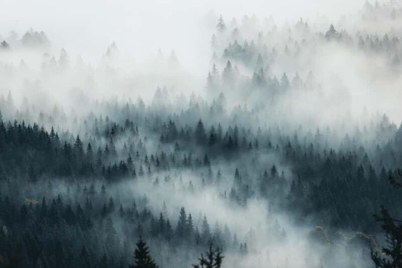 Photo tour through the Black Forest  the highlights - Who Should Consider This Tour?