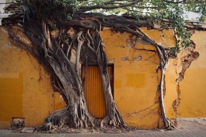 Photo Walking Tour Historic District Mazatlán - A Deep Dive into the Mazatlán Photo Walking Tour