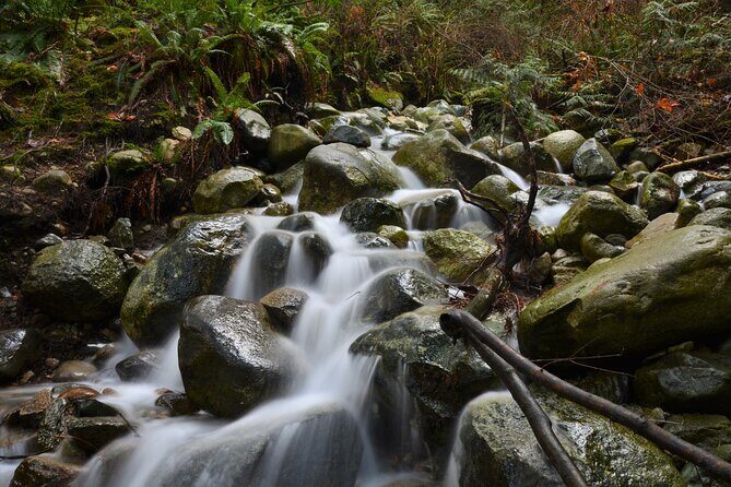 Photography & Advanced Hike to Turquois Lake & Glacier - Exploring the Joffre Lakes & Glacier Tour in Detail