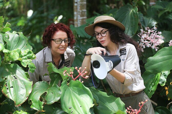 Photography and Nature in Cairns Botanic Gardens Let's Go Buggin - What Makes This Tour Stand Out?