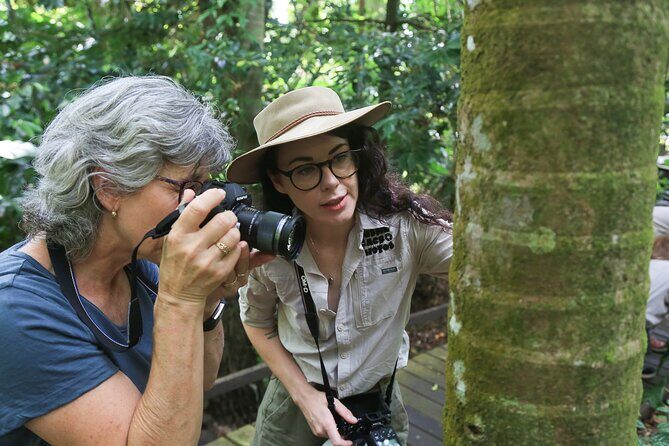 Photography and Nature in Cairns Botanic Gardens Let's Go Buggin - The Sum Up: Who Should Book This Tour?