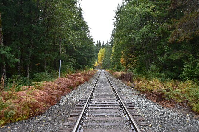 Photography & Sightseeing in Whistler & Squamish - Who Would Love This Tour?