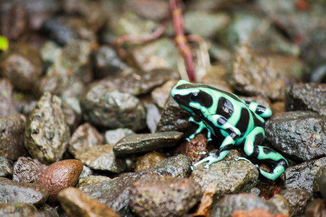 Photography Tour at Natura Eco Park - Key Points
