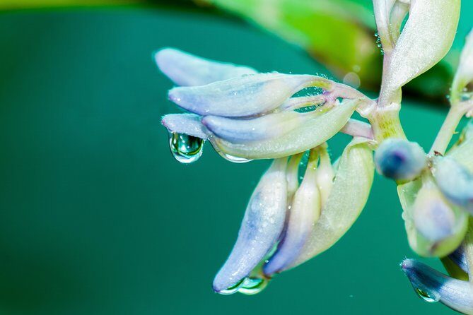 Photography Tour at Natura Eco Park - A Thorough Breakdown of the Itinerary