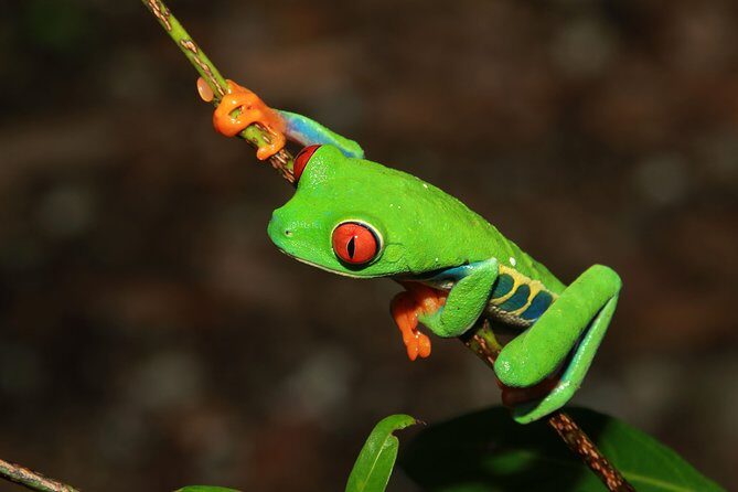 Photography Tour at Natura Eco Park - Practical Details and Tips