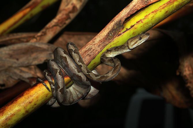 Photography Tour at Natura Eco Park - Final Thoughts