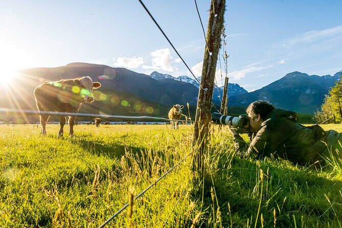 Photography Tour from Queenstown to Glenorchy - 1/2 Day - Practical Details You Need to Know