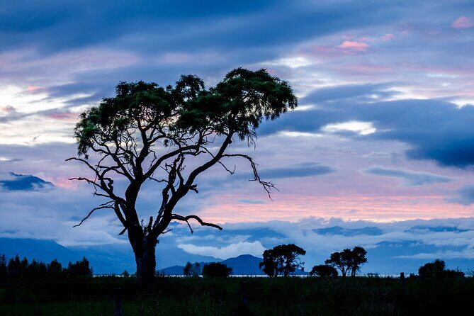 Photography Tour from Queenstown to Glenorchy - 1/2 Day - FAQ