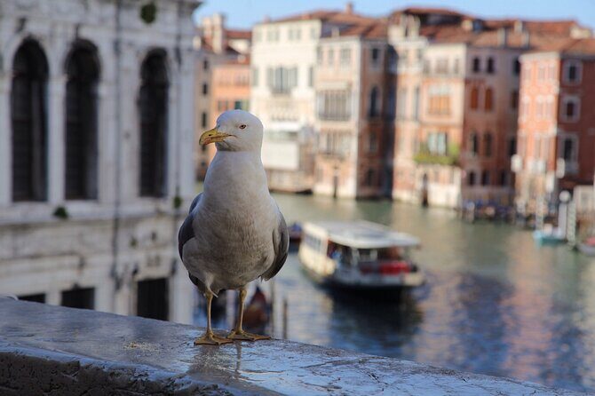 Photography workshop in the magical Venice (3h) - FAQ