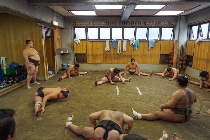 [Photos with Wrestlers] Exclusive Access to Sumo Morning Practice - Practical Aspects and Considerations