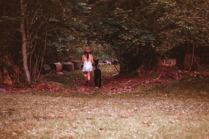 Photoshoot with Alpacas and Farm Experience near Seattle - Who Should Consider This Tour?