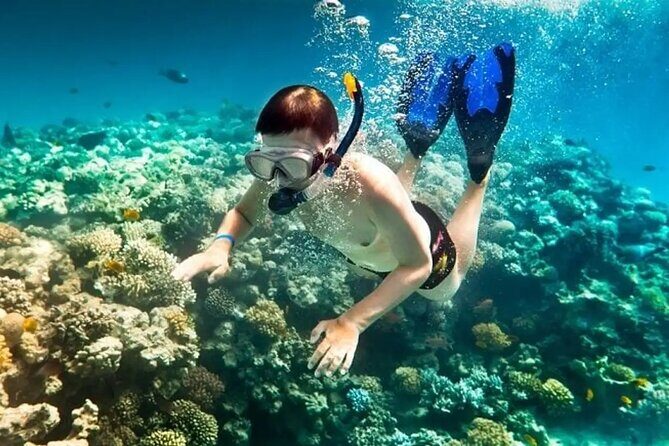 Phu Quoc 3 Islands Snorkeling Adventure Full Day Tour - A Closer Look at the Phu Quoc 3 Islands Snorkeling Tour