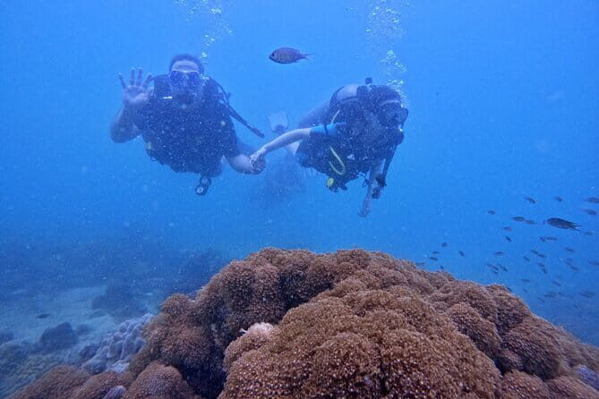 Phu Quoc Car Charter Rental - The Sum Up: Who Should Consider This Tour?